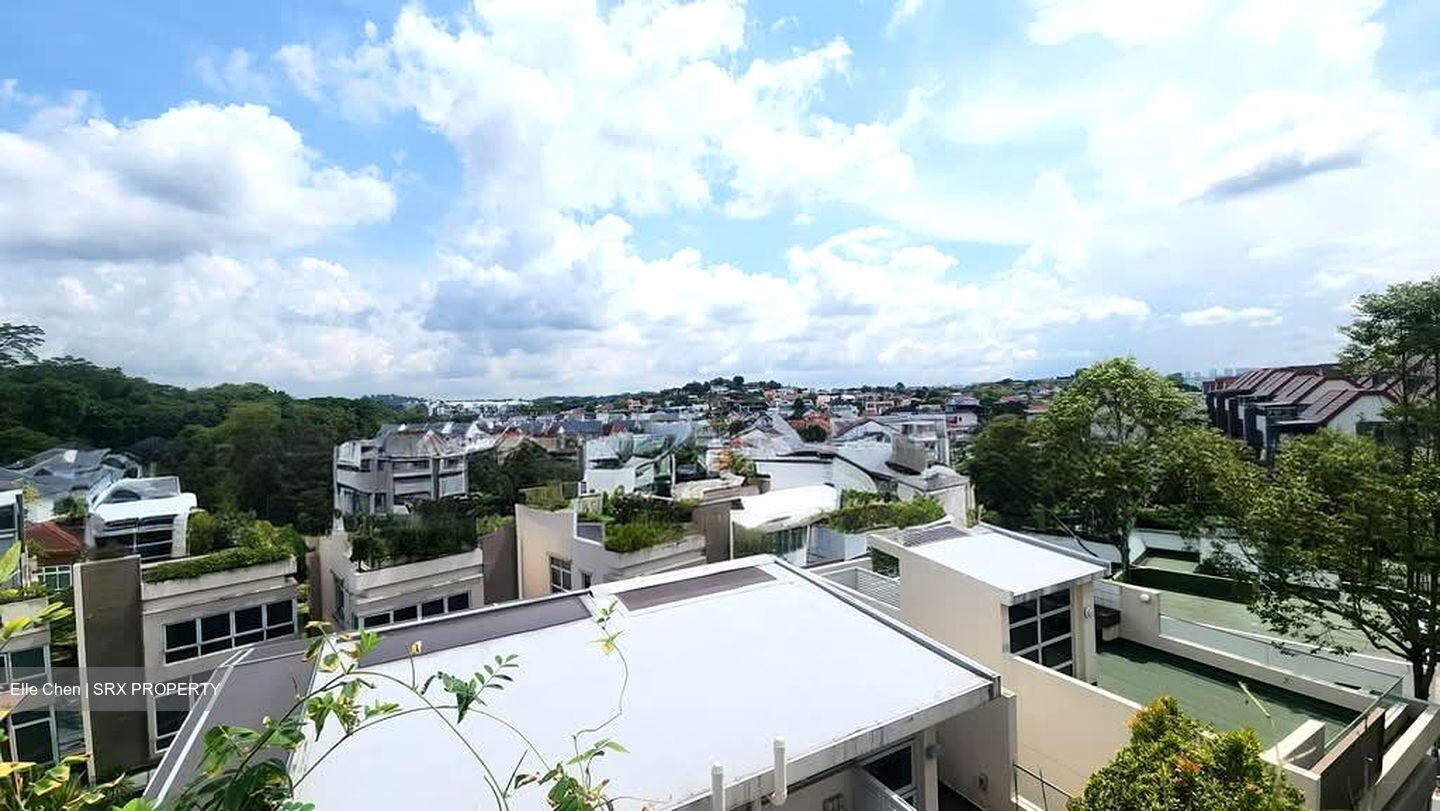 Jalan Lim Tai See (D10), Terrace #605027231